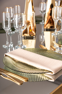 Plato presentación 10